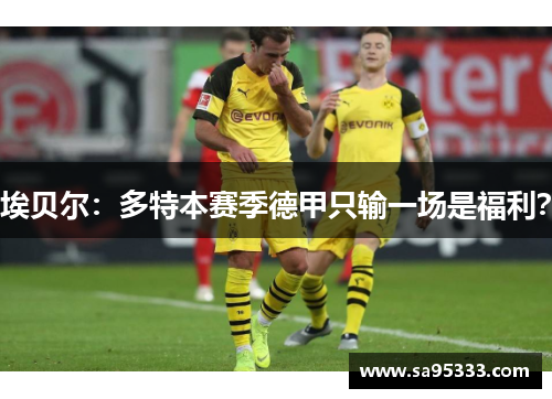 埃贝尔：多特本赛季德甲只输一场是福利？